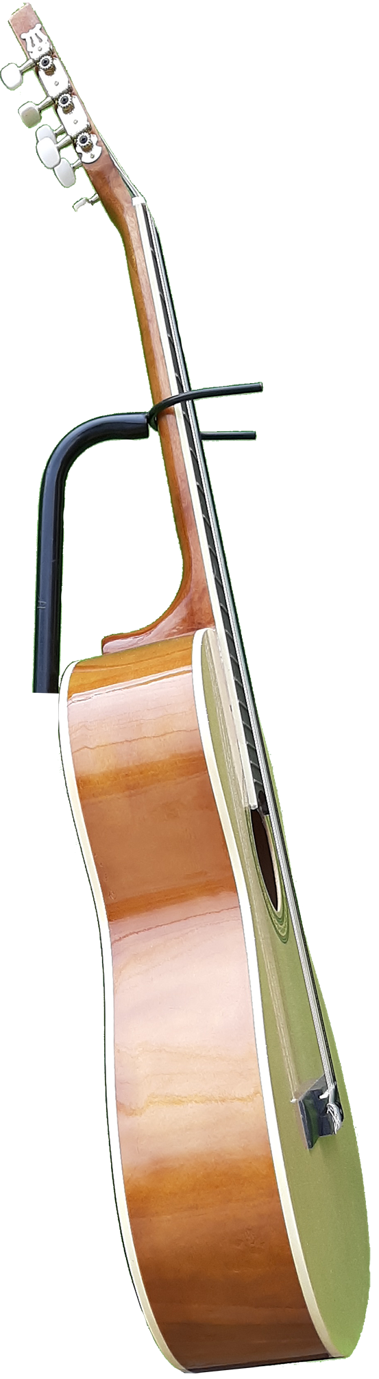 foto2guitclasestudioprindiapalorosalmacer170-2