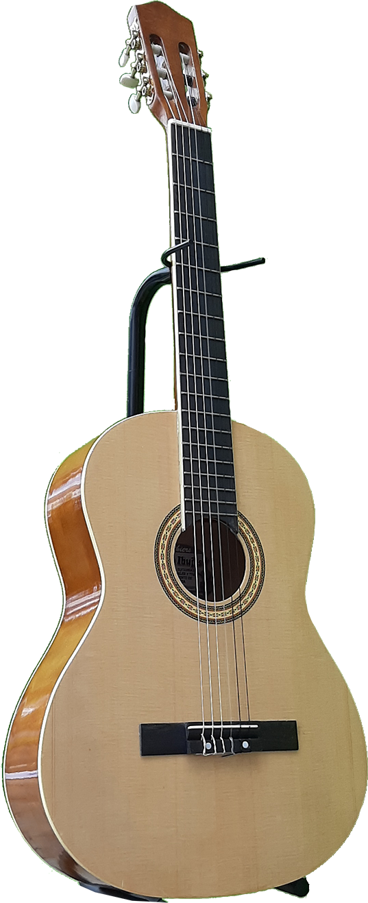 foto2guitclasestudioprindiapalorosalmacer170